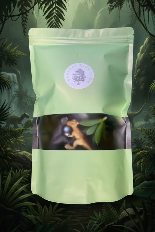 Roar & Explore Sensory Kit