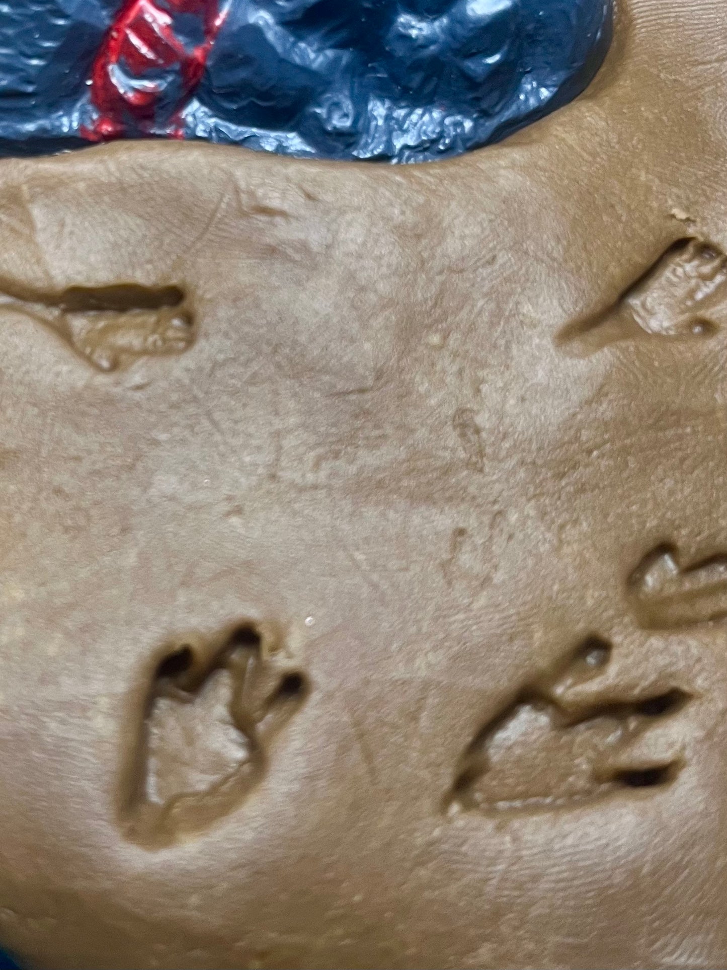 Roar & Explore Sensory Kit
